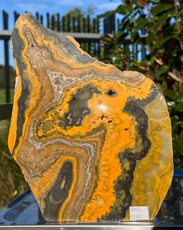 Bumblebee Jasper